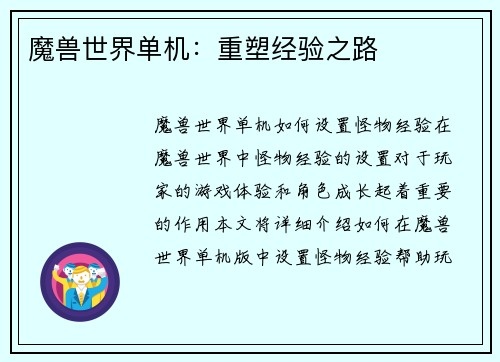魔兽世界单机：重塑经验之路